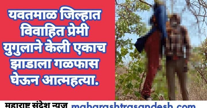 यवतमाळ जिल्हात विवाहित प्रेमी युगुलाने केली एकाच झाडाला गळफास घेऊन आत्महत्या.