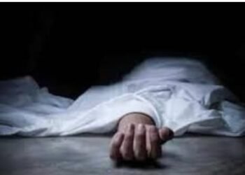 शेतात काम करून आले घरी जेवण केलं, आधी पत्नी, नंतर पतीचा नागपूर येथे उपचार दरम्यान मृत्यू.