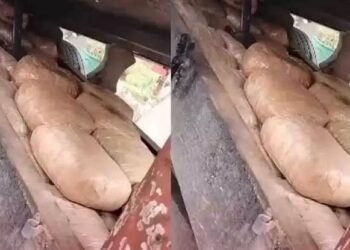 नागपूर महसूल गुप्तचर संचालनायाची कारवाई, २११ किलो गांजा जप्त, ड्रग सिंडिकेटच्या पर्दाफाश.