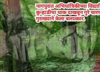 नागपुरात अभियांत्रिकीच्या विद्यार्थिनीवर कुऱ्हाडीचा धाक दाखवून गुरे चारणाऱ्या गुराख्याने केला बलात्कार.