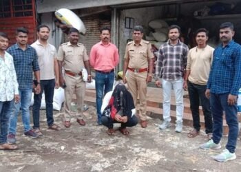 तांदळ्याच्या काळ्या बाजाराला अन्न पुरवठा विभागाचे पाठबळ? ट्रॅकसह तेरा टन तांदूळ जप्त, 1 जनाला पाेलीसांनी ठोकल्या बेड्या.