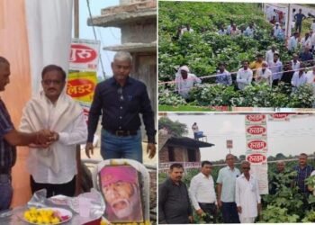 अँक्सीस सिडस् कंपनी द्वारे शेताच्या बांधावर जाऊन पीक पाहणी, प्रगतशील युवा शेतकरी विनोद बागडेचा सत्कार