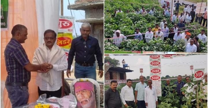 अँक्सीस सिडस् कंपनी द्वारे शेताच्या बांधावर जाऊन पीक पाहणी, प्रगतशील युवा शेतकरी विनोद बागडेचा सत्कार