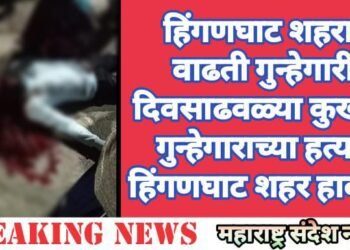 हिंगणघाट शहरात वाढती गुन्हेगारी, दिवसाढवळ्या कुख्यात गुन्हेगाराच्या हत्याने हिंगणघाट शहर हादरले.