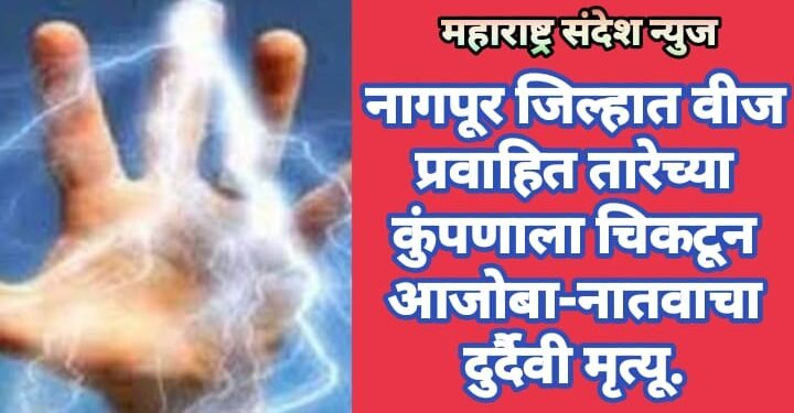 नागपूर जिल्हात वीज प्रवाहित तारेच्या कुंपणाला चिकटून आजोबा – नातवाचा दुर्दैवी मृत्यू.