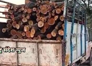 वेकोली के जंगल से चोरी किया हुआ काला बबूल भरी पिकप वाहन सहित चार आरोपी पकड़ाए व तीन फरार.