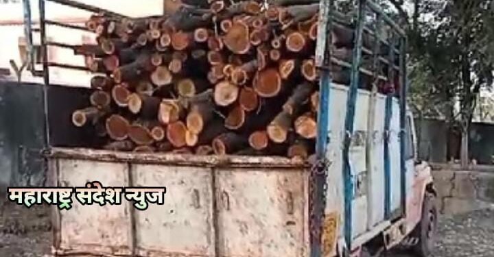 वेकोली के जंगल से चोरी किया हुआ काला बबूल भरी पिकप वाहन सहित चार आरोपी पकड़ाए व तीन फरार.