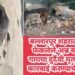 बल्लारपूर शहरात कॅट्टर्स ने फेकलेले अन्न खाल्ल्याने गायचा दुर्दैवी मृत्यू, दोषीवर कारवाई करण्याची मागणी.