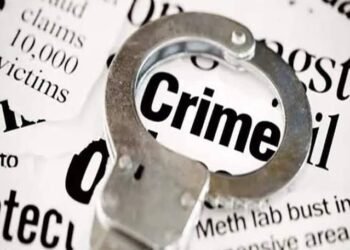 गुन्हे शाखा युनिट २ ची उलेखनिय कामगीरी !जिवंत काडतुसांसह गावठी कट्टा बाळगणा-या इसमाला अटक