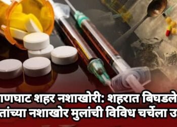 हिंगणघाट शहर नशाखोरी: शहरात बिघडलेल्या श्रीमंतांच्या नशाखोर मुलांची विविध चर्चेला उधाण.