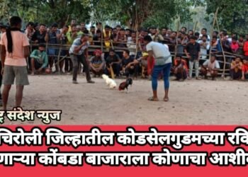 गडचिरोली जिल्हातील कोडसेलगुडमच्या रविवारी भरणाऱ्या कोंबडा बाजाराला कोणाचा आशीर्वाद?