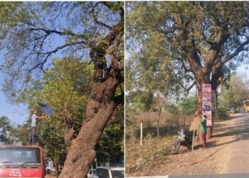 नैसर्गिक पर्यावरण संवर्धन व मानवता विकास संस्थेच्या निवेदनाची मुख्याधिकारी यांनी घेतली तात्काळ दखल.