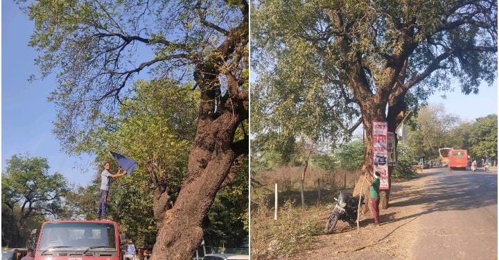 नैसर्गिक पर्यावरण संवर्धन व मानवता विकास संस्थेच्या निवेदनाची मुख्याधिकारी यांनी घेतली तात्काळ दखल.