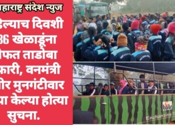 पहिल्याच दिवशी 336 खेळाडूंना मोफत ताडोबा सफारी, वनमंत्री सुधीर मुनगंटीवार यांच्या केल्या होत्या सुचना.