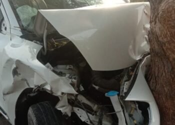 बार्शीटाकळी अकोला रस्त्यावर कारची झाडाला धडक, दोघे गंभीर जखमी.