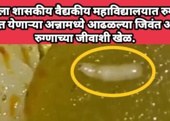 अकोला शासकीय वैद्यकीय महाविद्यालयात रुग्णांना देण्यात येणाऱ्या अन्नामध्ये आढळल्या जिवंत अळ्या, रुग्णाच्या जीवाशी खेळ.