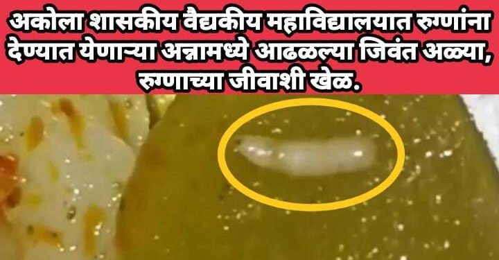 अकोला शासकीय वैद्यकीय महाविद्यालयात रुग्णांना देण्यात येणाऱ्या अन्नामध्ये आढळल्या जिवंत अळ्या, रुग्णाच्या जीवाशी खेळ.