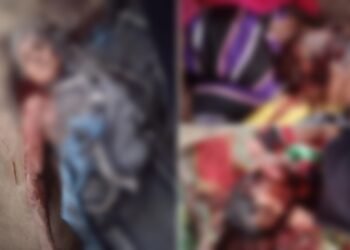 गडचिरोली जिल्हात आजी आजोबा व नातीचा गळा चिरून निर्घृण हत्या, हत्या नरबळी की आपसी वादातून?