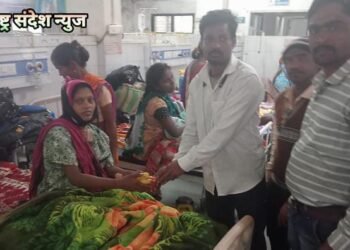 पत्रकार दिनानिमित्त अहेरी युवा पत्रकार संघटनेच्या वतीने उपजिल्हा रुग्णालय येथे फळवाटप.