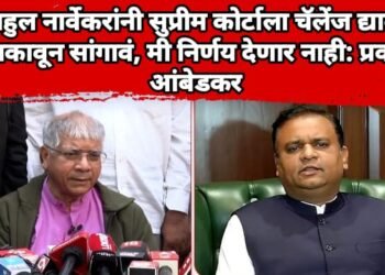 राहुल नार्वेकरांनी सुप्रीम कोर्टाला चॅलेंज द्यावं; ठणकावून सांगावं, मी निर्णय देणार नाही: प्रकाश आंबेडकर