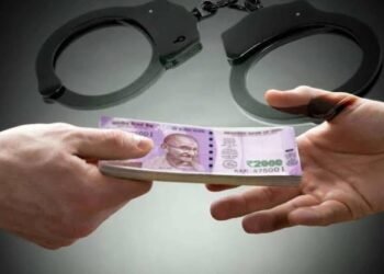 अकोल्यातील लाचखोर मंडळ अधिकाऱ्याला एसीबीच्या ठोकल्या बेड्या, 20 हजाराची लाच स्वीकारणे पडले महागात.