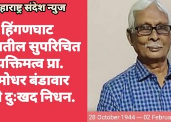 हिंगणघाट शहरातील सुपरिचित व्यक्तिमत्व प्रा. दामोधर बंडावार यांचे दुःखद निधन.