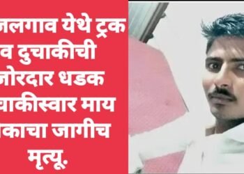 माजलगाव येथे ट्रक व दुचाकीची जोरदार धडक दुचाकीस्वार माय लेकाचा जागीच मृत्यू.