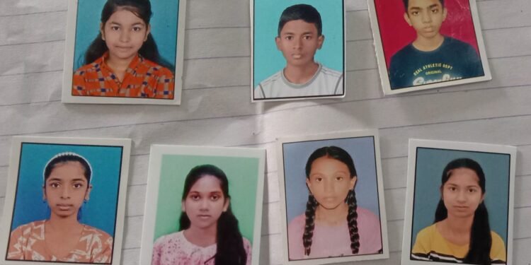 राष्ट्रीय आर्थिक दृबल घटक शिष्यवृत्ती परीक्षेत भारत विद्यालय हिंगनाघाट येथिल विद्यार्थाना यश.