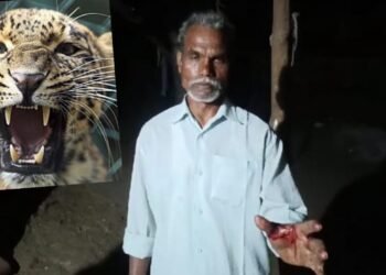 बल्लारपूर शहरात दीनदयाल वॉर्ड येते बिबट्याच्या घरात घुसून हल्ला, परिसरात भीतीचे वातावरण.