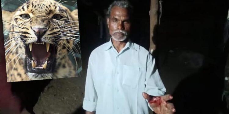 बल्लारपूर शहरात दीनदयाल वॉर्ड येते बिबट्याच्या घरात घुसून हल्ला, परिसरात भीतीचे वातावरण.