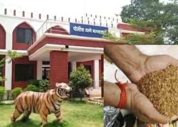 बल्लारपुर अवैध सुगंधित तंबाखू की एलसीबी ने की कार्यवाही.