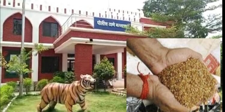 बल्लारपुर अवैध सुगंधित तंबाखू की एलसीबी ने की कार्यवाही.