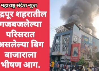 चंद्रपूर शहरातील गजबजलेल्या परिसरात असलेल्या बिग बाजाराला भीषण आग.