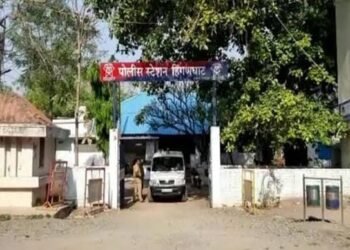 हिंगणघाट बैल बंडीने अवैध दारूची तस्करी, पोलीसांची धडक कारवाई लाखोंचा मुद्देमाल जप्त.