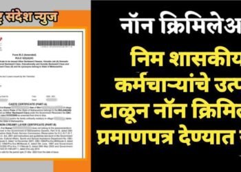 निम शासकीय कर्मचाऱ्यांचे उत्पन्न टाळून नॉन क्रिमिलेयर प्रमाणपत्र देण्यात यावे.