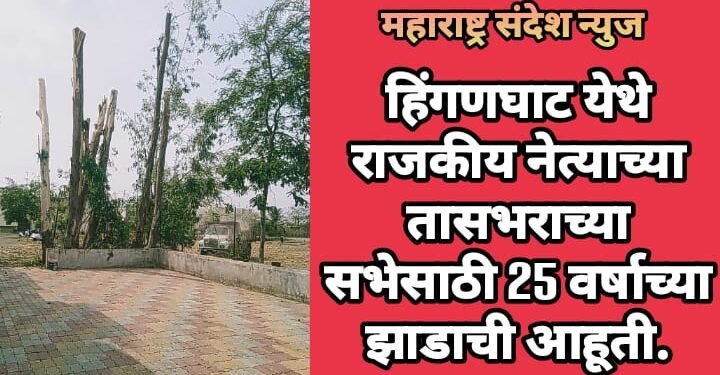 हिंगणघाट येथे राजकीय नेत्याच्या तासभराच्या सभेसाठी 25 वर्षाच्या झाडाची आहूती.