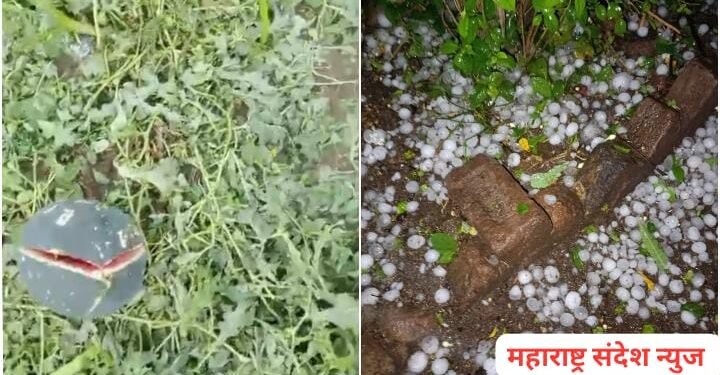 हिंगणघाट तालुक्यात वादळी वाऱ्यासह गाराचा पाऊस, शेती पिकांचे मोठे नुकसान.