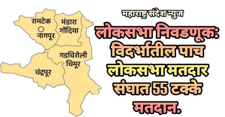 लोकसभा निवडणूक: विदर्भातील पाच लोकसभा मतदारसंघात 55 टक्के मतदान.