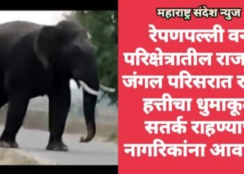 रेपणपल्ली वन परिक्षेत्रातील राजाराम जंगल परिसरात रानटी हत्तीचा धुमाकूळ सतर्क राहण्याचे नागरिकांना आवाहन.