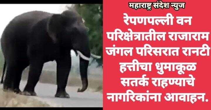 रेपणपल्ली वन परिक्षेत्रातील राजाराम जंगल परिसरात रानटी हत्तीचा धुमाकूळ सतर्क राहण्याचे नागरिकांना आवाहन.