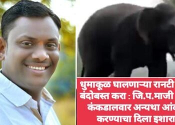 धुमाकूळ घालणाऱ्या रानटी हत्तीचा बंदोबस्त करा: जि.प.माजी अध्यक्ष कंकडालवार अन्यथा आंदोलन करण्याचा दिला इशारा.