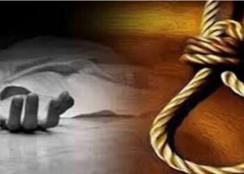 हिंगणघाट येथील धोबीघाट नाल्याच्या पुलावर लोखंडी पाईपला फासी घेऊन ६० वर्षीय इसमाची आत्महत्या.