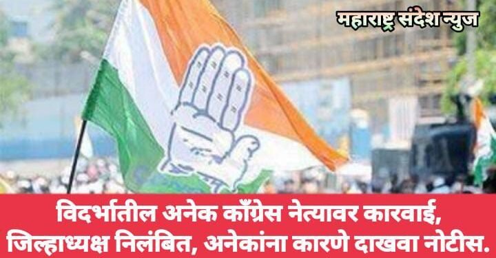 विदर्भातील अनेक काँग्रेस नेत्यावर कारवाई, जिल्हाध्यक्ष निलंबित, अनेकांना कारणे दाखवा नोटीस.
