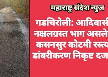 गडचिरोली: आदिवासी व नक्षलग्रस्त भाग असलेल्या कसनसुर कोटमी रस्त्याचे डांबरीकरण निकृष्ट दर्जाचे.