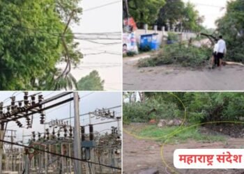 सावनेर शहरात विजेचा लपंडाव, मेंटेनन्सचा अभाव, मच्छारांची रात्रभर मेजवानी.