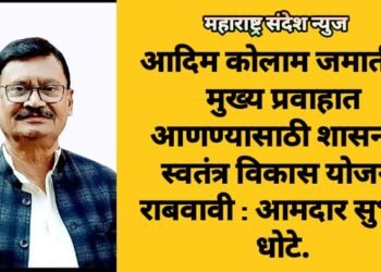 आदिम कोलाम जमातीला मुख्य प्रवाहात आणण्यासाठी शासनाने स्वतंत्र विकास योजना राबवावी : आमदार सुभाष धोटे.