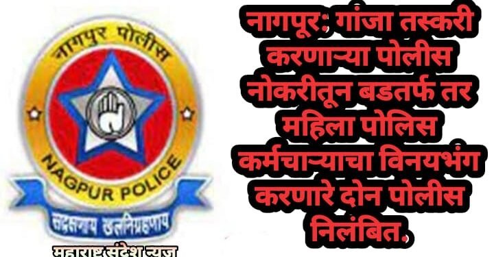 नागपूर: गांजा तस्करी करणाऱ्या पोलीस नोकरीतून बडतर्फ तर महिला पोलिस कर्मचाऱ्याचा विनयभंग करणारे दोन पोलीस निलंबित.