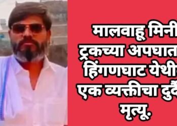 मालवाहू मिनी ट्रकच्या अपघातात हिंगणघाट येथील एक व्यक्तीचा दुर्दैवी मृत्यू.