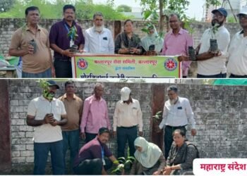 पर्यावरण दिनानिमित्त मोहनसिंग भाई जव्हेरी कन्या महाविघालय बल्लारपूर येथे  वृक्षारोपन कार्यक्रम संपन्न.