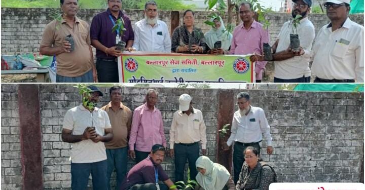 पर्यावरण दिनानिमित्त मोहनसिंग भाई जव्हेरी कन्या महाविघालय बल्लारपूर येथे वृक्षारोपन कार्यक्रम संपन्न.